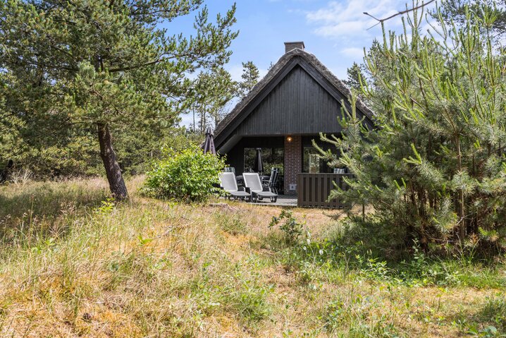 Sommerhus 60437 på Hedetoftvej 44, Blåvand - Billede #22