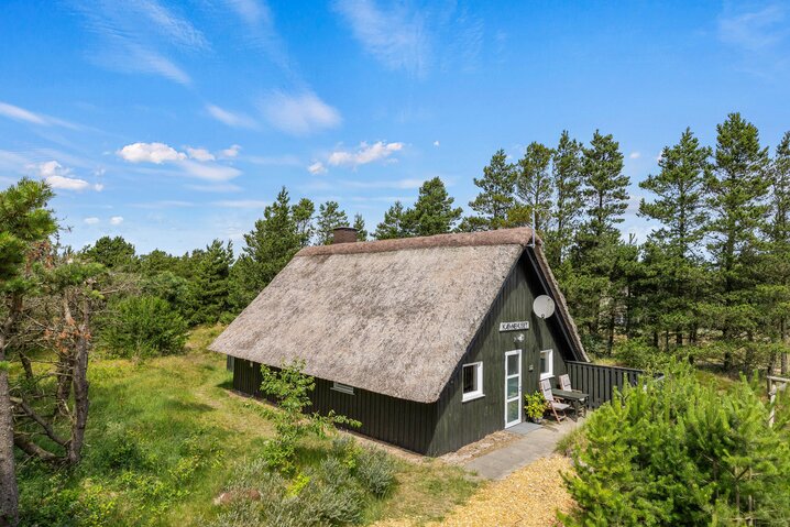 Sommerhus 60437 på Hedetoftvej 44, Blåvand - Billede #0