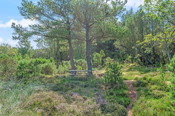 Ferienhaus 60448 in Gl Hovej 6, Blåvand - Bild #29