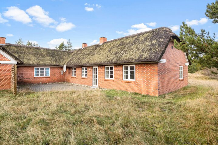 Sommerhus 60463 på Sandtoftevej 45C, Blåvand - Billede #19