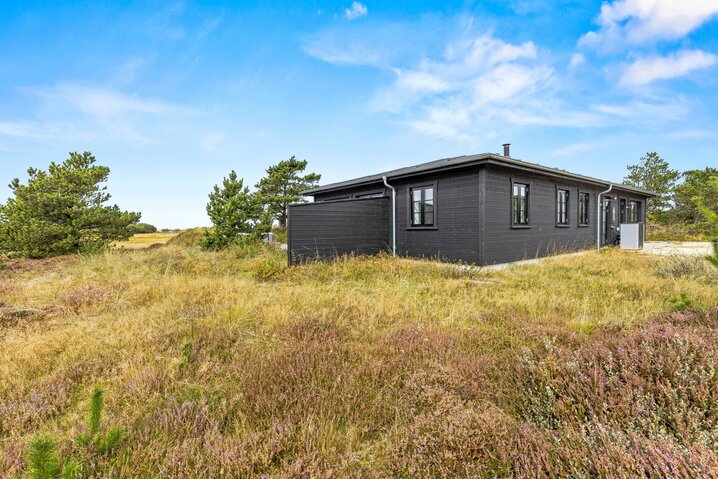 Sommerhus 60469 på Svinget 1C, Blåvand - Billede #29