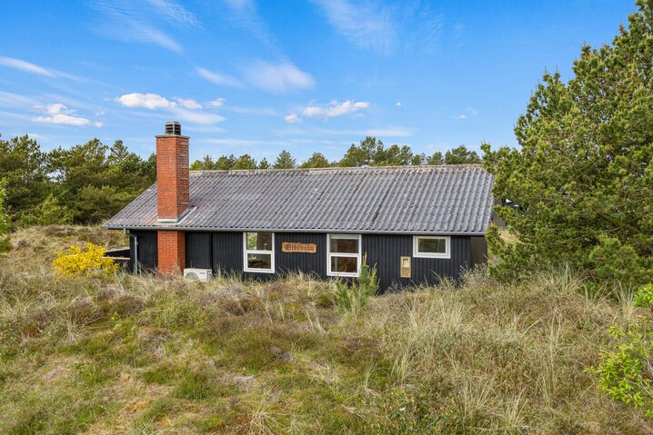 Sommerhus 60480 på Bakkedraget 28, Blåvand - Billede #27