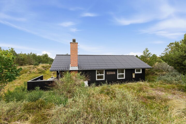Holiday home 60480 at Bakkedraget 28, Blåvand - Picture #33