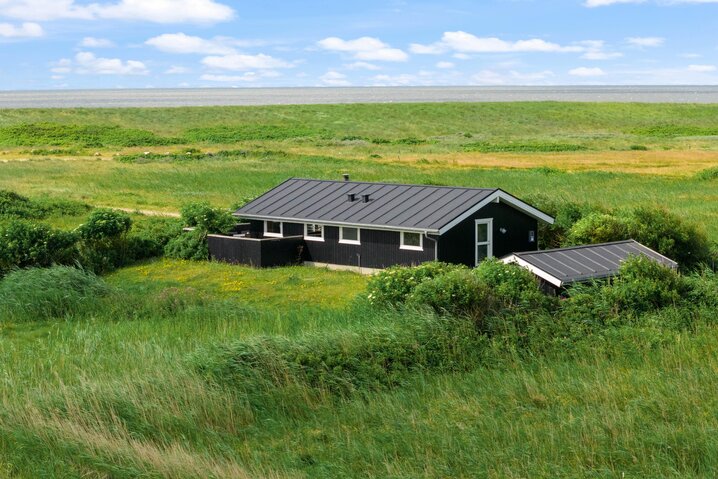 Holiday home 60505 at Mærsk Vase 7, Blåvand - Picture #0