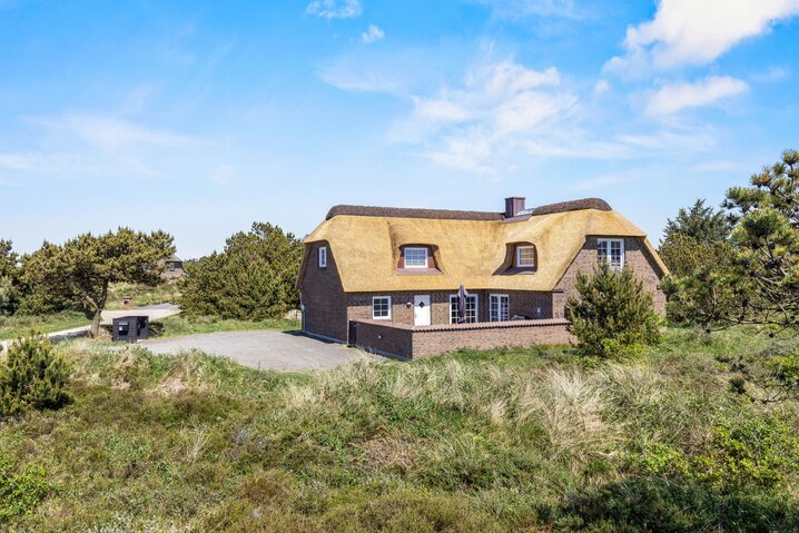 Sommerhus 60513 på Horns Rev 10, Blåvand - Billede #41