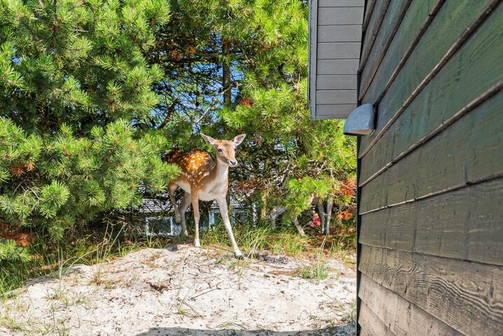 Ferienhaus 60515 in Port Arthursvej 47, Blåvand - Bild #44