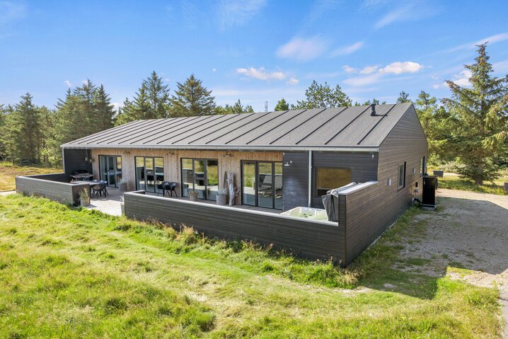 Ferienhaus 60520 in Horns Bjerge 54, Blåvand - Bild #47