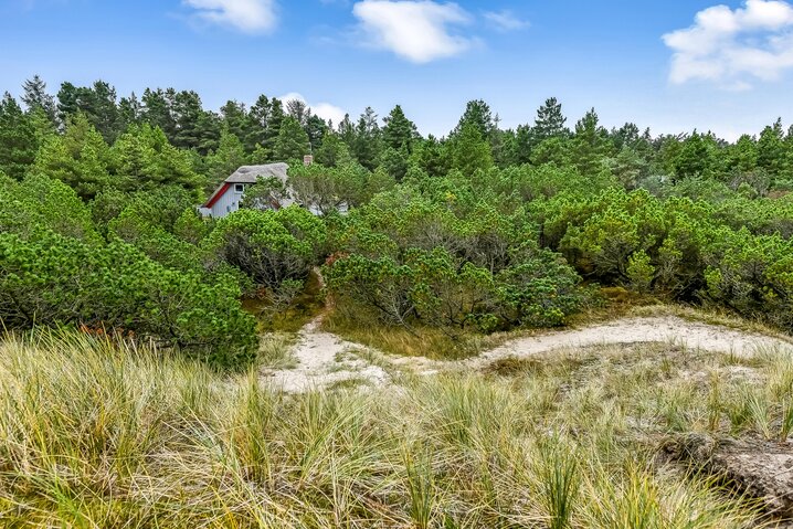 Sommerhus 60526 på Søren Gades Mark 43, Blåvand - Billede #29