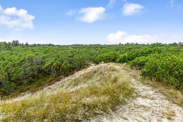 Sommerhus 60526 på Søren Gades Mark 43, Blåvand - Billede #30