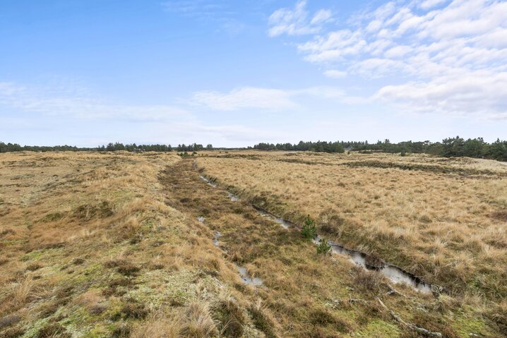 Sommerhus 60529 på Gl Mælkevej 70, Blåvand - Billede #59