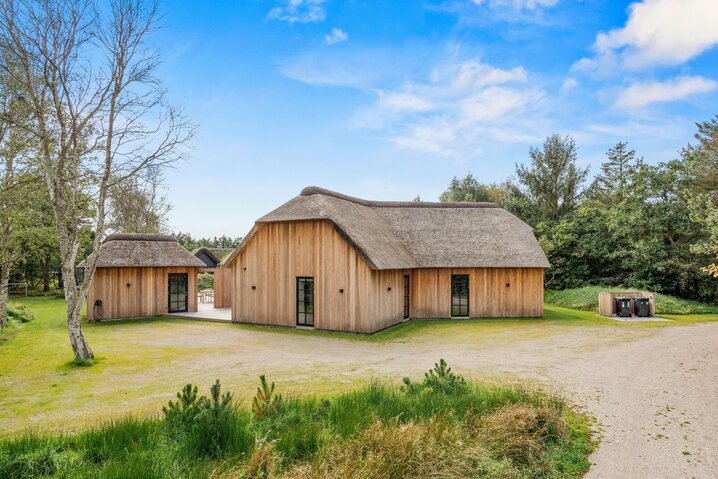 Sommerhus 60530 på Hedetoftvej 54, Blåvand - Billede #79