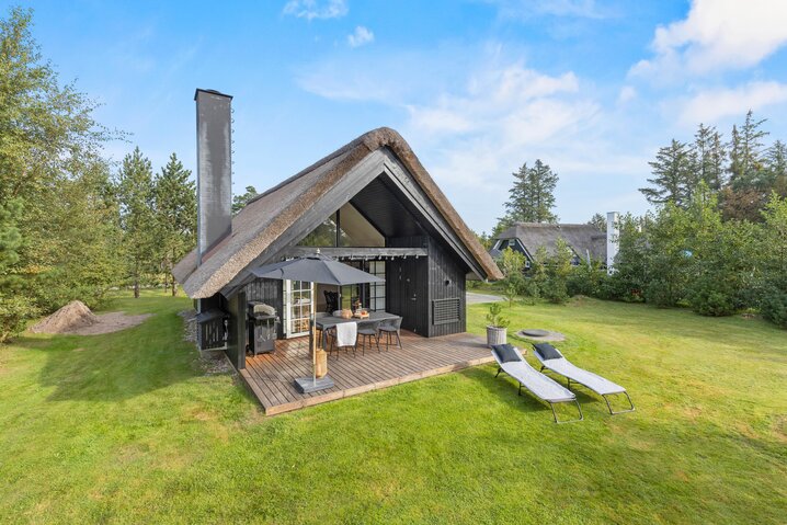 Ferienhaus 60538 in Hestehaven 8, Blåvand - Bild #0