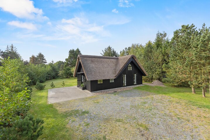 Ferienhaus 60538 in Hestehaven 8, Blåvand - Bild #25