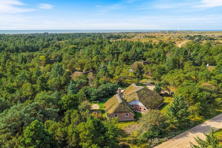 Ferienhaus 60539 in Vestermarken 5B, Blåvand - Bild #47