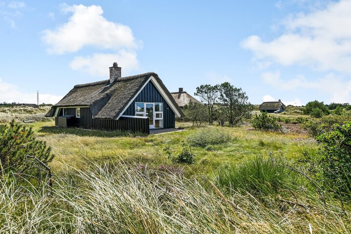 Ferienhaus 60549 in Vestermarken 14, Blåvand - Bild #22