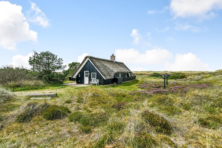 Ferienhaus 60549 in Vestermarken 14, Blåvand - Bild #23