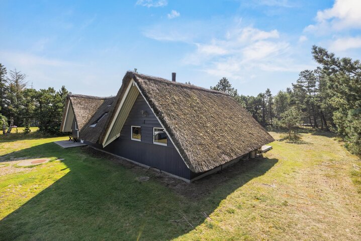 Holiday home 60551 at Sandageren 3, Blåvand - Picture #31