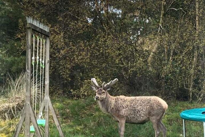 Sommerhus 60562 på Kringsvej 7, Blåvand - Billede #32