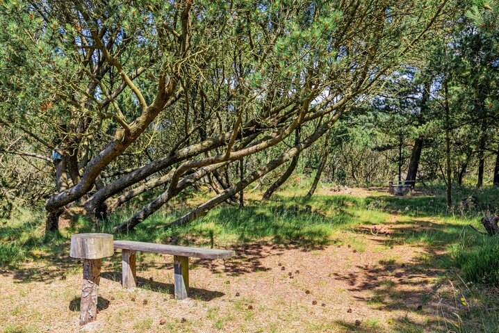 Sommerhus 60568 på Ved Skoven 30, Blåvand - Billede #25