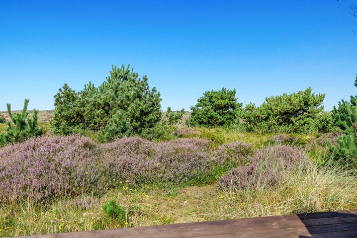 Sommerhus 60580 på Nordslugen 12, Blåvand - Billede #43