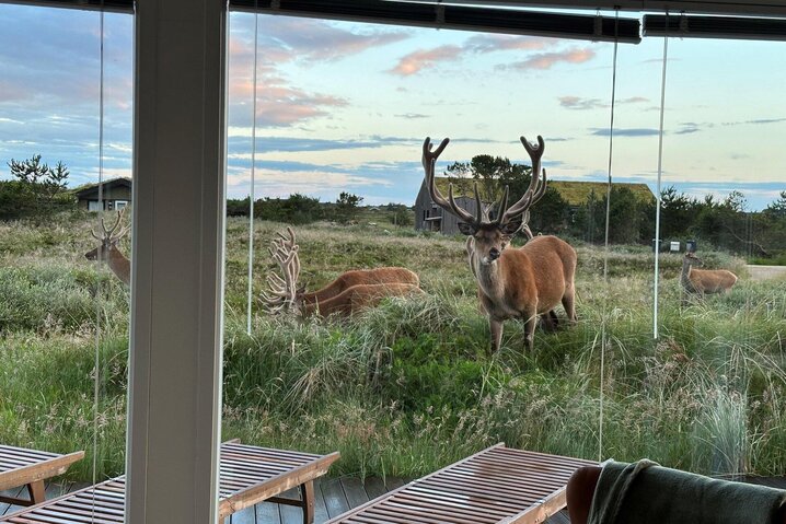Ferienhaus 60580 in Nordslugen 12, Blåvand - Bild #48