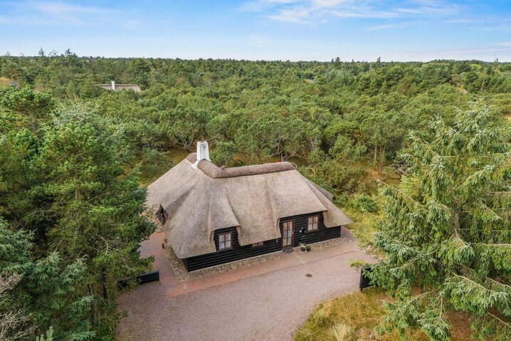 Ferienhaus 60588 in Kallesmærskvej 18, Blåvand - Bild #43