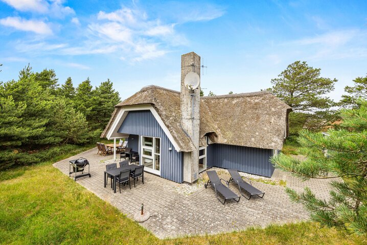 Sommerhus 60591 på Pouls Bjerge 24, Blåvand - Billede #0