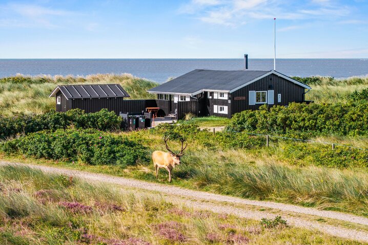 Sommerhus 60598 på Lille Strandvej 18, Blåvand - Billede #17