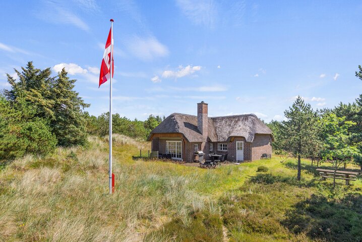 Sommerhus 60613 på Nordslugen 7, Blåvand - Billede #0