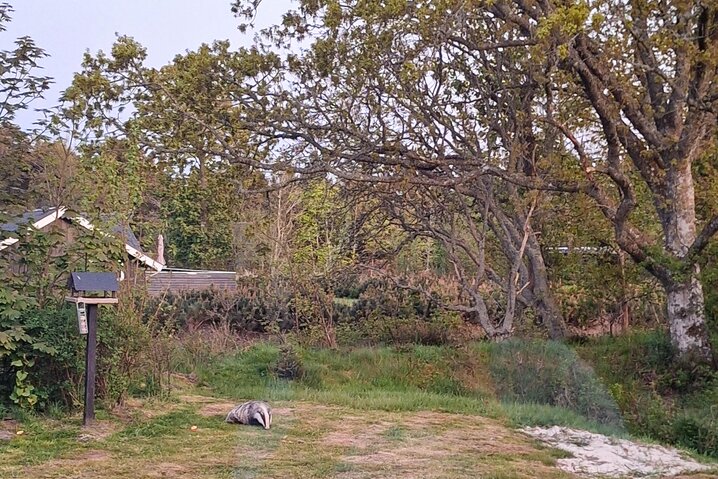 Ferienhaus 60614 in Bjergbovej 26D, Blåvand - Bild #45