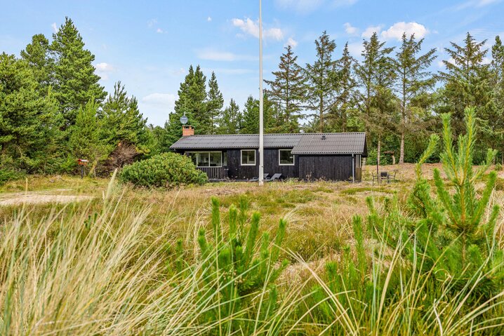 Sommerhus 60627 på Solsiden 24, Blåvand - Billede #29