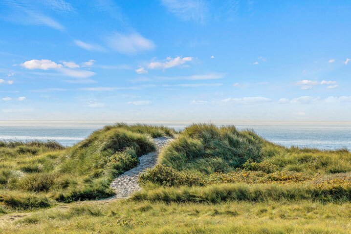 Ferienhaus 60629 in Fyrvej 43B, Blåvand - Bild #41