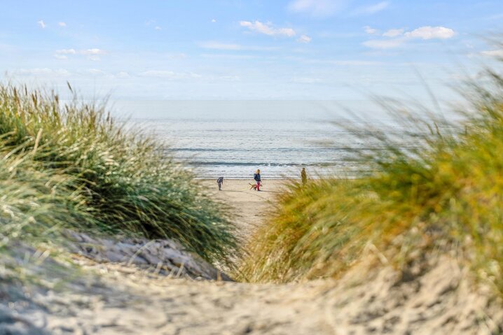 Ferienhaus 60629 in Fyrvej 43B, Blåvand - Bild #42