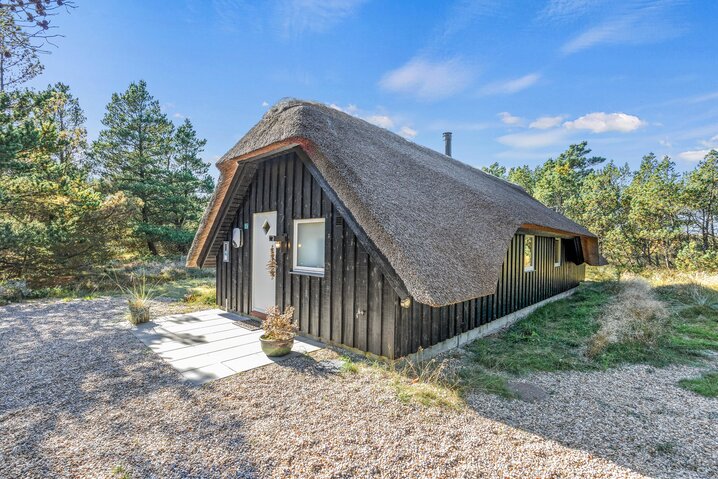 Sommerhus 60631 på Vestermarken 2B, Blåvand - Billede #34