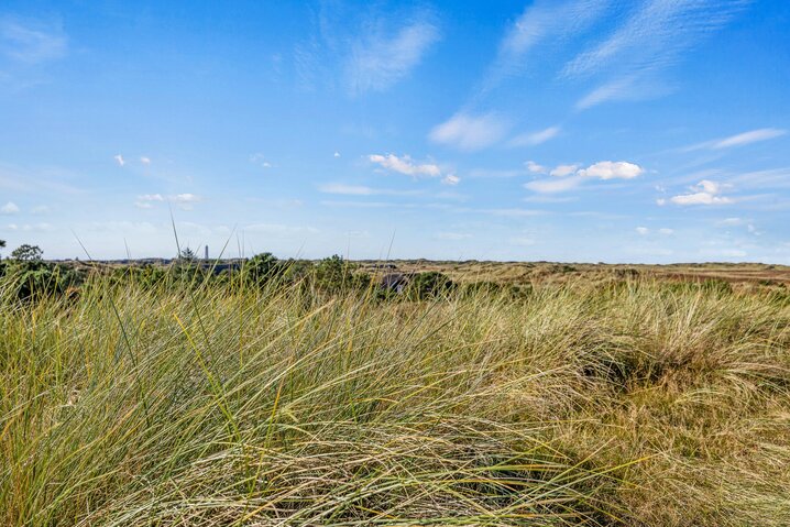 Sommerhus 60631 på Vestermarken 2B, Blåvand - Billede #36