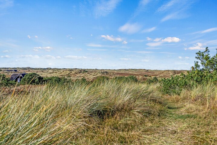 Sommerhus 60631 på Vestermarken 2B, Blåvand - Billede #37