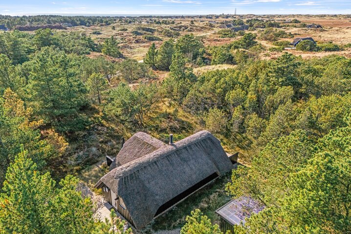 Sommerhus 60631 på Vestermarken 2B, Blåvand - Billede #39