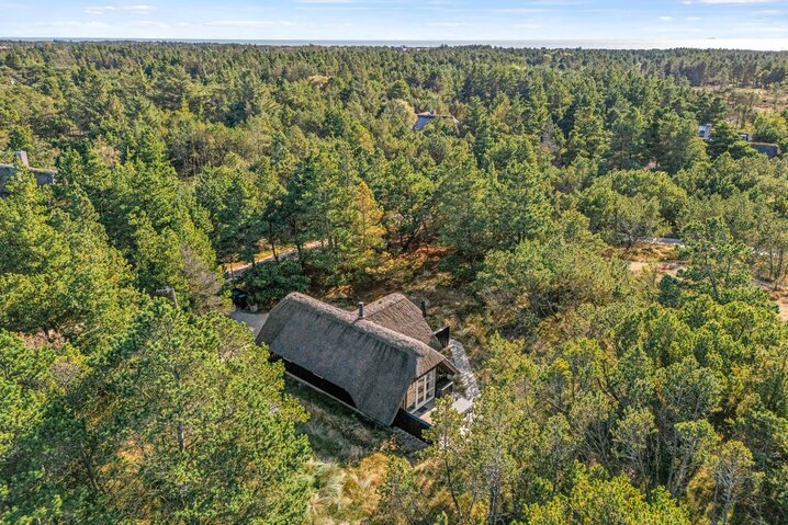 Sommerhus 60631 på Vestermarken 2B, Blåvand - Billede #40