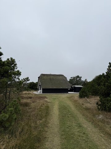 Ferienhaus 60632 in Ingridsvej 5, Blåvand - Bild #5