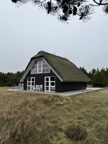 Ferienhaus 60632 in Ingridsvej 5, Blåvand - Bild #1