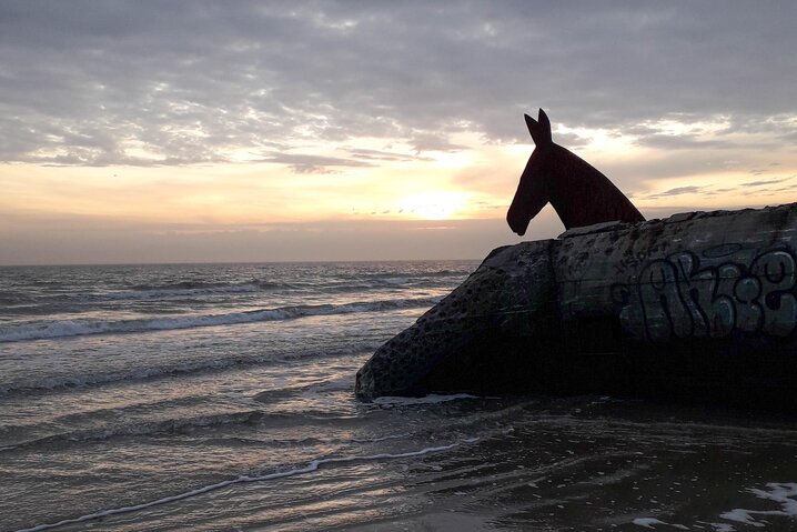 Ferienhaus 60638 in Skippervej 26, Blåvand - Bild #16