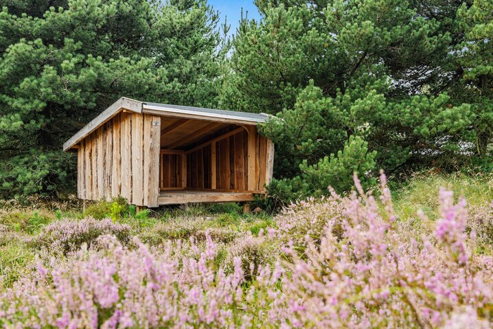Ferienhaus 60642 in Svinget 6, Blåvand - Bild #31