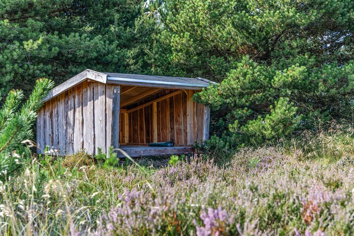 Holiday home 60642 at Svinget 6, Blåvand - Picture #33
