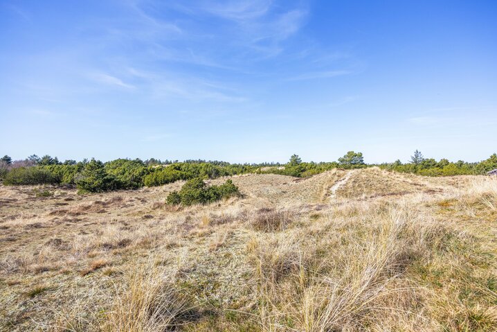 Sommerhus 60672 på Tane Hedevej 31, Blåvand - Billede #28