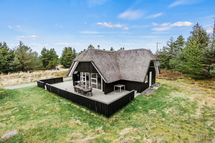 Sommerhus 60677 på Sandtoftevej 38C, Blåvand - Billede #21