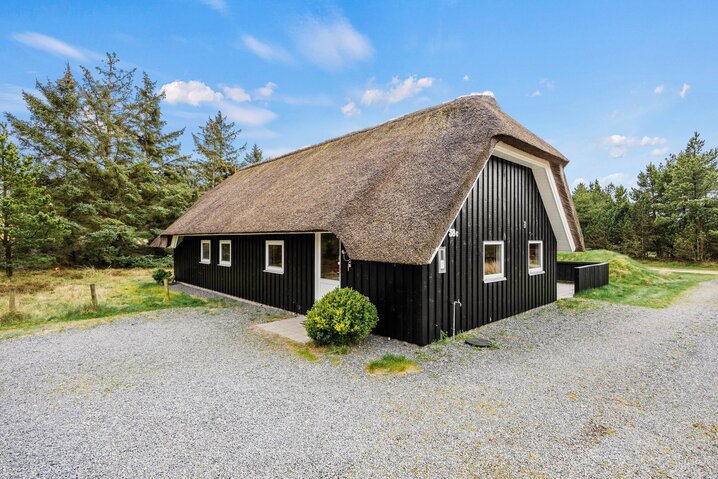 Ferienhaus 60677 in Sandtoftevej 38C, Blåvand - Bild #27