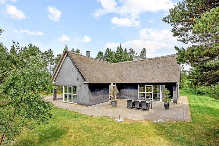 Ferienhaus 60680 in Møllehusvej 46, Blåvand - Bild #0