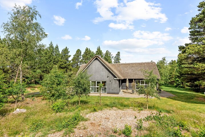 Ferienhaus 60680 in Møllehusvej 46, Blåvand - Bild #36