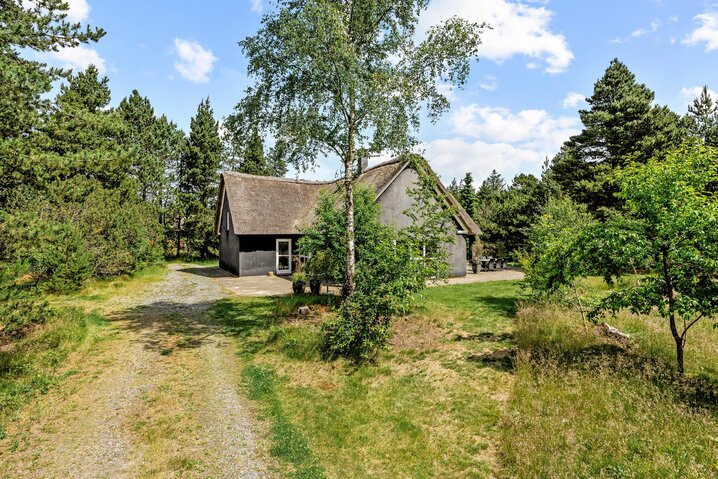 Sommerhus 60680 på Møllehusvej 46, Blåvand - Billede #41