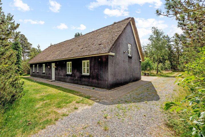 Ferienhaus 60680 in Møllehusvej 46, Blåvand - Bild #42